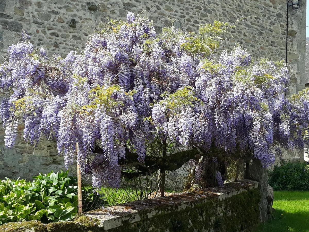 Village De Vie Saint-Vaury ภายนอก รูปภาพ