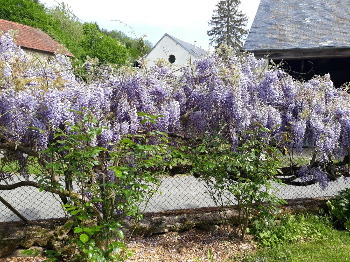 Village De Vie Saint-Vaury ภายนอก รูปภาพ